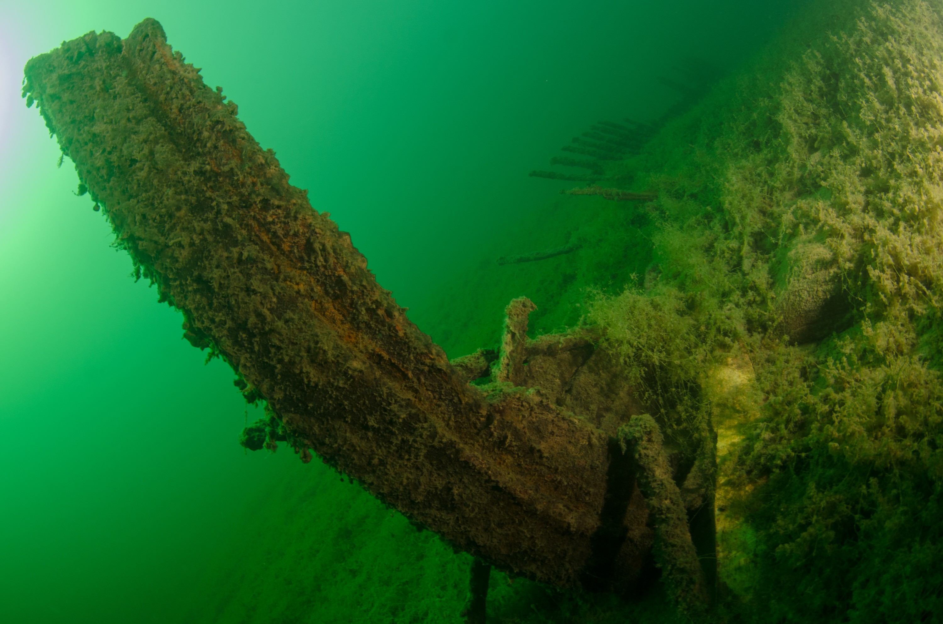 DSC_2900 – Crispin, nz, new, zealand, new zealand, freshwater, lakes, Waikaremoana, whaling, boat, wreck, 1869, secret, hard to find, history, maori, war,